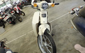HONDA C110 SUPER CUB JA59
