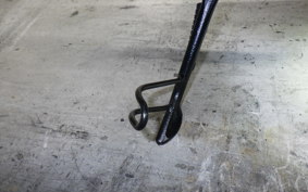 KAWASAKI W800 2025 EJ800E