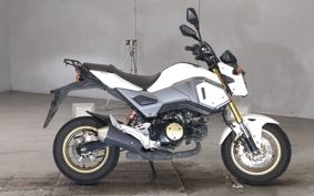 HONDA GU ROM JC75