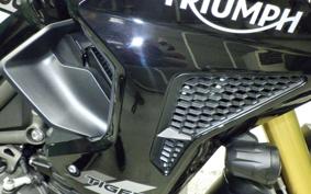 TRIUMPH TIGER 1200 RALLY 2024
