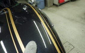 OTHER ENFIELD BULLET 350 2024