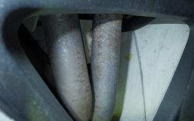 TRIUMPH DAYTONA 675 2009