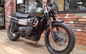 TRIUMPH SCRAMBLER 2024 DAD78G