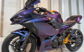 KAWASAKI NINJA 250 EX250P