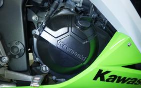 KAWASAKI NINJA 250 EX250L