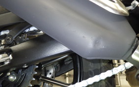 TRIUMPH SCRAMBLER400X 2024