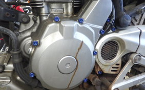 SUZUKI GOOSE 250 NJ46A