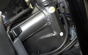 HONDA CRF250M 2024 MD38