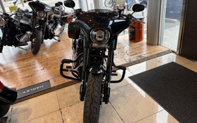 HARLEY FLSB 2022 YMJ