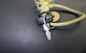 HONDA C90 SUPER CUB 2025 HA02