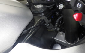 SUZUKI HAYABUSA Gen.3 2021 EJ11A