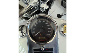 HARLEY FLSTC 2007 BW5