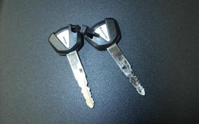 KAWASAKI VERSYS 1000 SE 2019