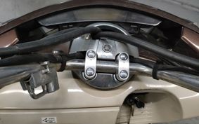 YAMAHA MAXAM250 SG21J