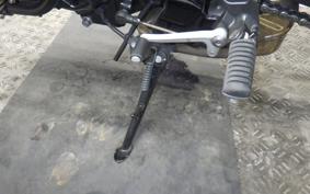KAWASAKI Z900RS 2023 ZR900K
