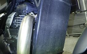 TRIUMPH SPEED 400 2024