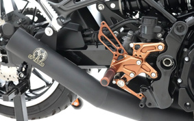 KAWASAKI Z900RS 2018 ZR900C