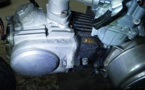 HONDA MONKEY 2024 Z50A