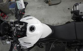 TRIUMPH TIGER 800 2019