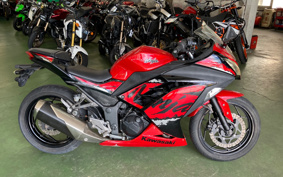 KAWASAKI NINJA 250 EX250L