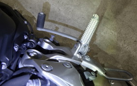 YAMAHA MT-09 Tracer 2015 RN36J