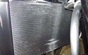 KAWASAKI Z900RS 2025 ZR900K