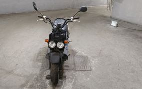 HONDA ZUMAR AF58