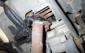 YAMAHA VINO 50 SA10J