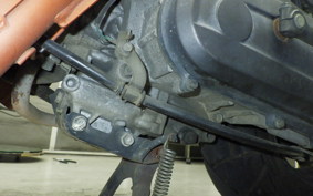 HONDA ZOOMER 2026 AF58