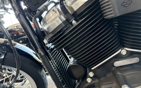 HARLEY FXST1340-1450 2020 BVJ