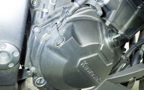 KAWASAKI Z250 2018 ER250C