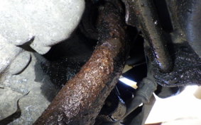 HONDA DIO ZX GEN 2 AF35