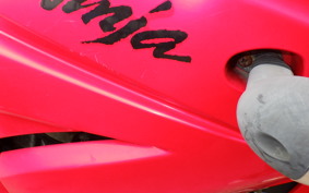 KAWASAKI NINJA 250R EX250K