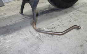 SUZUKI LET's 4 Basket 2021 CA43A