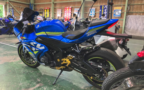 SUZUKI GSX-R1000 ABS 2019 DM11A