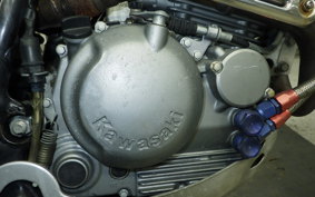 KAWASAKI SUPER SHERPA 2023 KL250G