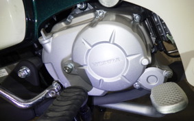 HONDA C50 SUPER CUB AA09
