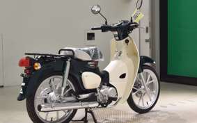 HONDA C110 SUPER CUB 2016 JA59