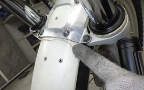 HONDA RTL250S 2009 RTL250SF