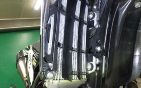 YAMAHA WR250X 2002 DG15J