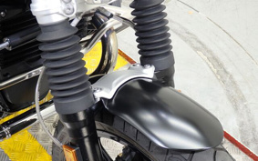 BMW R NINE T SCRAMBLER 2021 0L71
