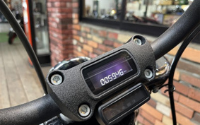 HARLEY FXBB 2018 YJJ