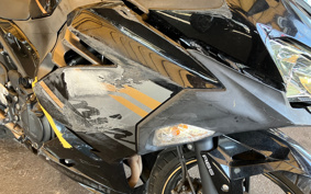 KAWASAKI NINJA 250 EX250P