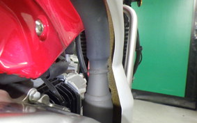 HONDA CT125 HUNTER CUB 2009 JA55