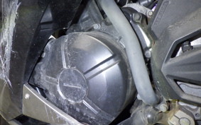 KAWASAKI NINJA 250 ABS EX250L