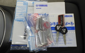 YAMAHA FJR1300 AS 2017 RP27J