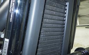 HARLEY FXLRST1920 2025