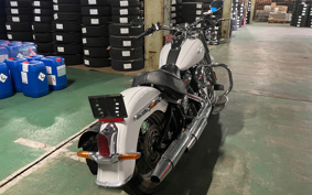 HARLEY FLDE 2020 YCJ