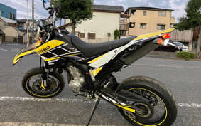 YAMAHA WR250X DG15J