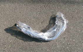 HONDA GB350 2022 NC59